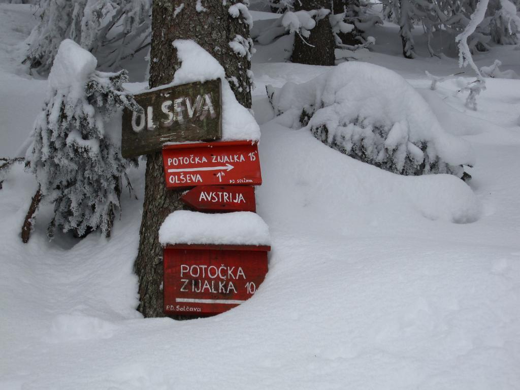 Boutique Rooms Pri Rogovilcu Solčava Exteriér fotografie